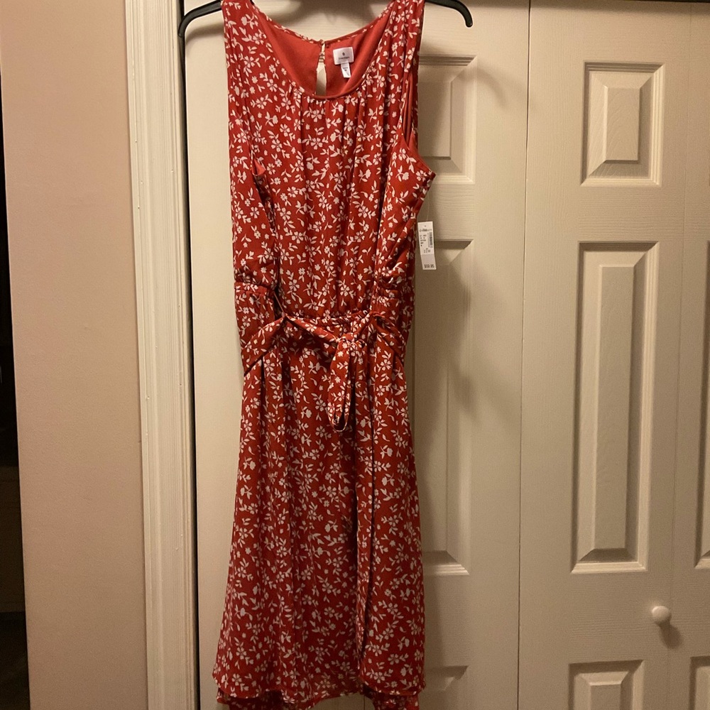 Dress barn fall dress